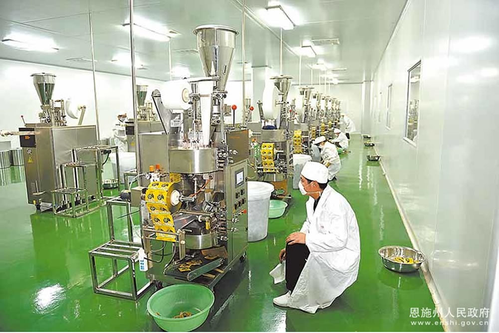 “Laifeng Vine Tea”