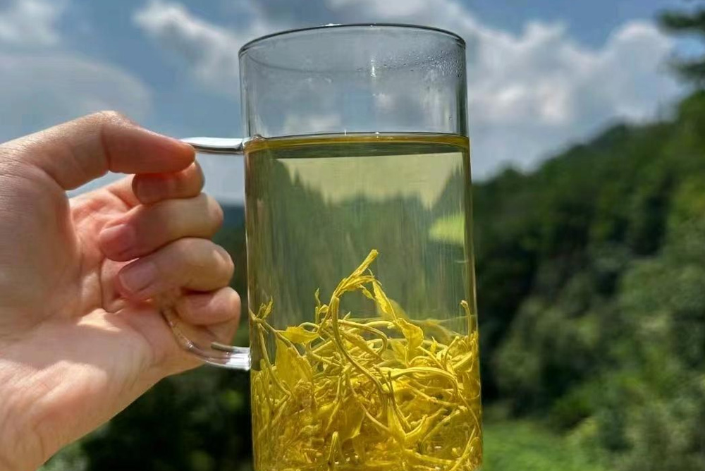 12 Surprising Facts About Vine Tea You Might Not Know Blog 047
