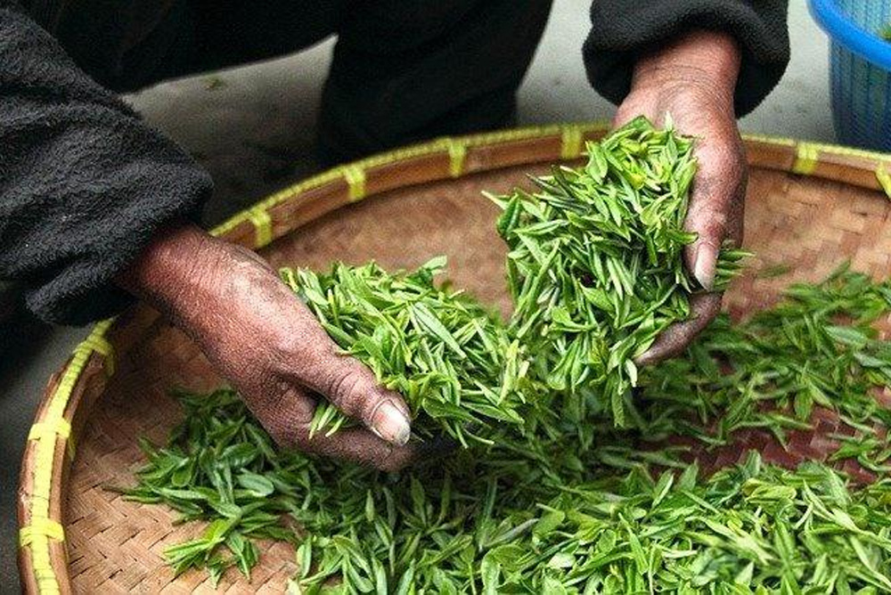 6 Best Ways to Store Vine Tea for Freshness