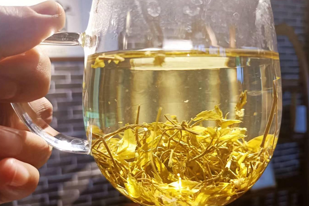 Can Vine Tea (Ampelopsis grossedentata) Help with Weight Loss blog 023