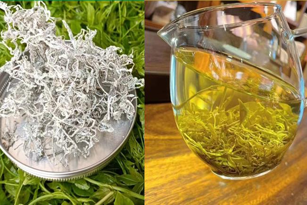 How Vine Tea (Ampelopsis grossedentata) Differs from Traditional Teas Blog 021