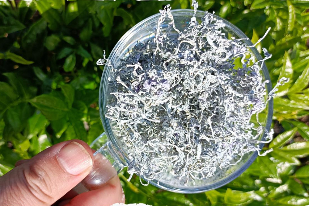 How to Drink Vine Tea (Ampelopsis grossedentata) Correctly Blog 016