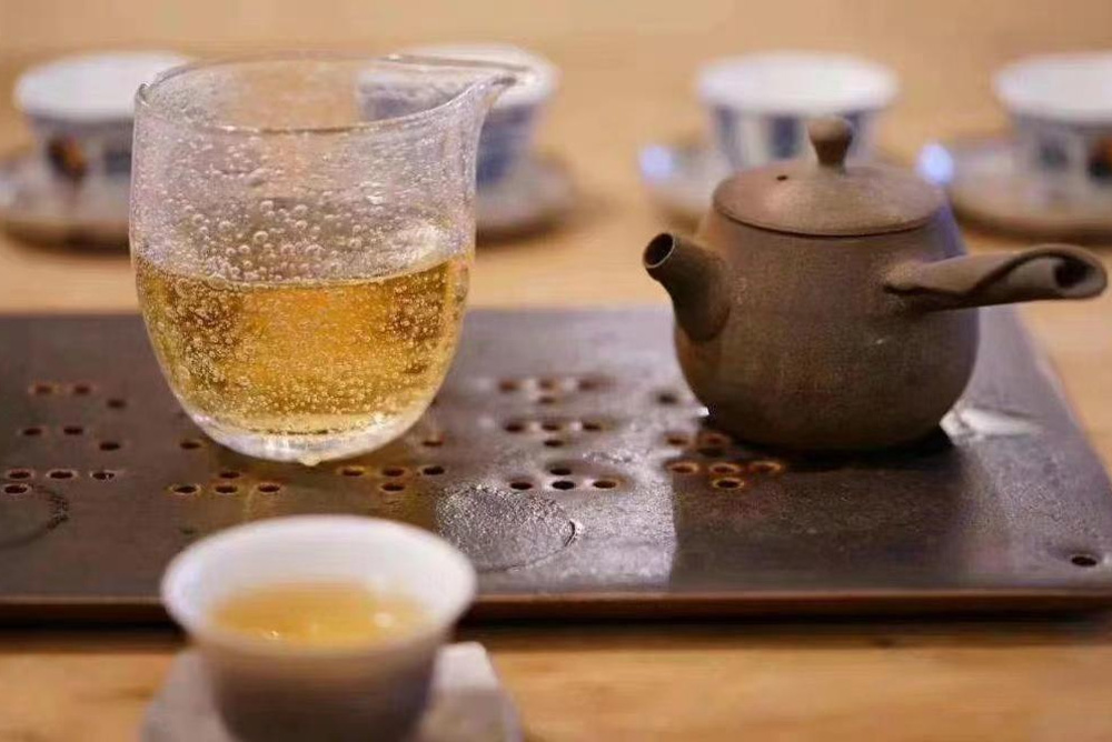 Is Vine Tea Warm or Cool Ampelopsis grossedentata Explained Blog 010