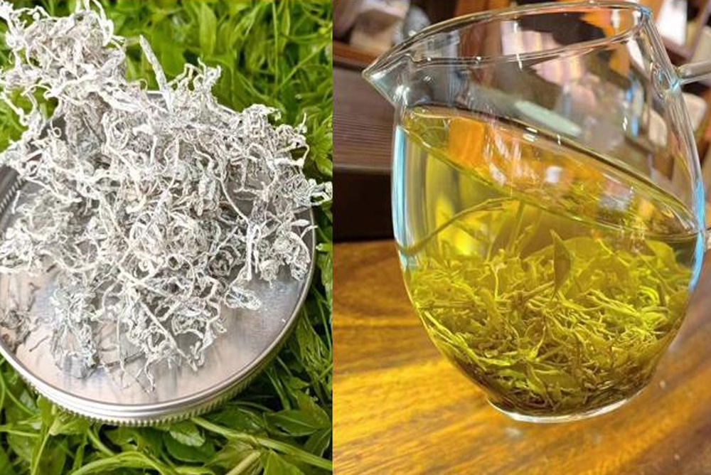 Vine Tea (Ampelopsis grossedentata) Brewing Guide & Color Changes Explained Blog 017