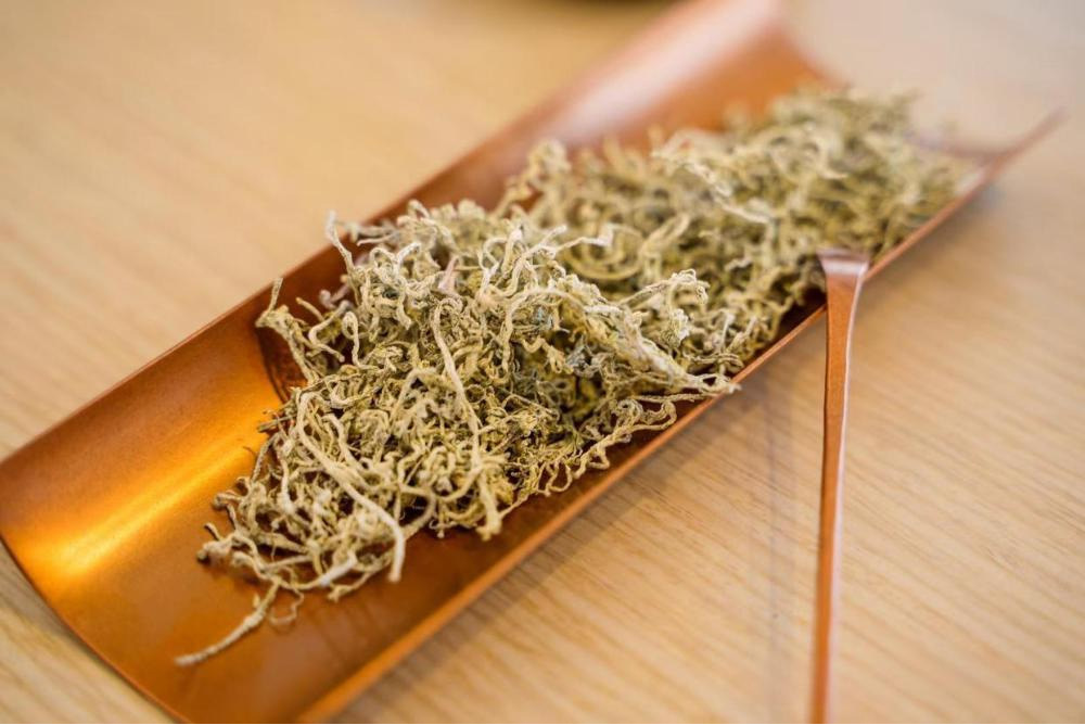 Vine Tea (Ampelopsis grossedentata) Brewing Tips & 10 Best Ways to DrinkVine Tea (Ampelopsis grossedentata) Brewing Tips & 10 Best Ways to Drink Blog 004