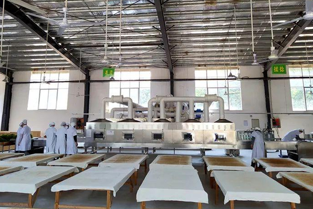 Vine Tea (Ampelopsis grossedentata) Processing – From Garden to Cup Blog 029