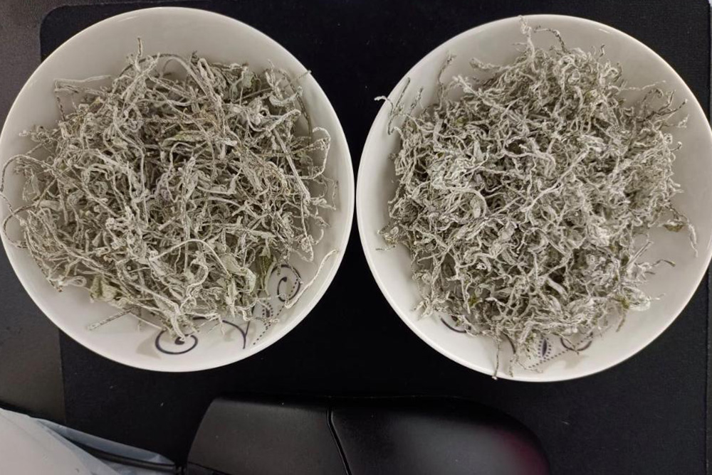 Vine Tea Shelf Life How Long Can Ampelopsis grossedentata Be Stored Blog 007