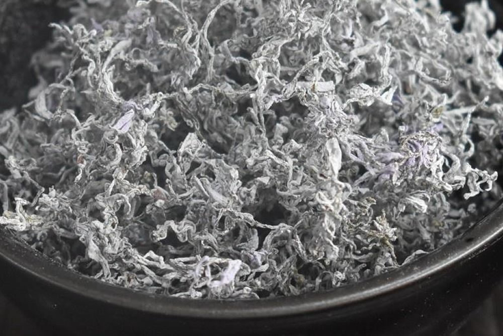 What Is Mei Tea and Why Is It Called the “King of Flavonoids”?