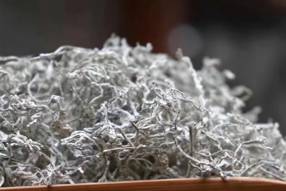 why vine tea safe overnight